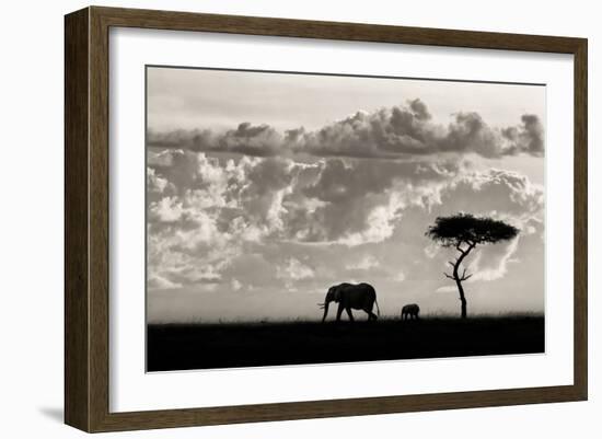 Silhouettes of Mara-Mario Moreno-Framed Art Print