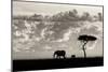 Silhouettes of Mara-Mario Moreno-Mounted Art Print