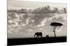 Silhouettes of Mara-Mario Moreno-Mounted Art Print