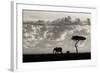 Silhouettes of Mara-Mario Moreno-Framed Photographic Print