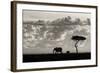 Silhouettes of Mara-Mario Moreno-Framed Photographic Print