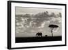 Silhouettes of Mara-Mario Moreno-Framed Photographic Print