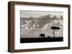 Silhouettes of Mara-Mario Moreno-Framed Photographic Print