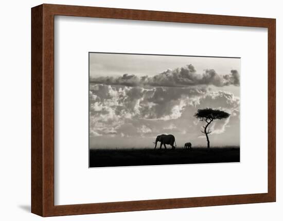 Silhouettes of Mara-Mario Moreno-Framed Photographic Print