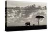 Silhouettes of Mara-Mario Moreno-Stretched Canvas