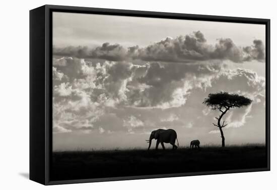 Silhouettes of Mara-Mario Moreno-Framed Stretched Canvas