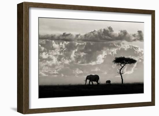 Silhouettes of Mara-Mario Moreno-Framed Photographic Print