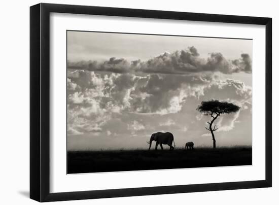 Silhouettes of Mara-Mario Moreno-Framed Photographic Print