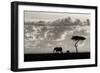 Silhouettes of Mara-Mario Moreno-Framed Photographic Print