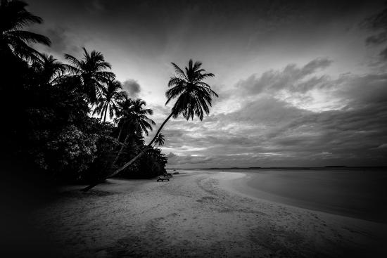 Photo, , large