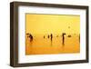 Silhouettes of People Playing Games in the Sea Full of Sailing-Ship-Dimitar Yalamov-Framed Photographic Print