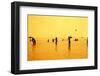 Silhouettes of People Playing Games in the Sea Full of Sailing-Ship-Dimitar Yalamov-Framed Photographic Print