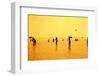 Silhouettes of People Playing Games in the Sea Full of Sailing-Ship-Dimitar Yalamov-Framed Photographic Print