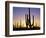 Silhouettes of Saguaro Cacti at Sunset-James Randklev-Framed Photographic Print