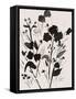 Silhoutte Floral-Beverly Dyer-Framed Stretched Canvas
