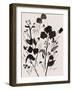Silhoutte Floral-Beverly Dyer-Framed Art Print
