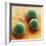 Silica Microspheres, SEM-Thomas Deerinck-Framed Premium Photographic Print