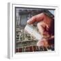 Silicon Chip-null-Framed Photographic Print