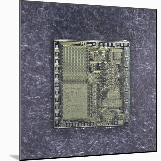 Silicon Chip-null-Mounted Photographic Print