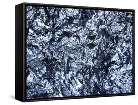 Silicon, Macrophotograph-PASIEKA-Framed Stretched Canvas