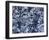 Silicon, Macrophotograph-PASIEKA-Framed Photographic Print