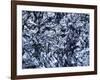 Silicon, Macrophotograph-PASIEKA-Framed Photographic Print