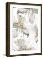 Silk Blush II-Eva Watts-Framed Art Print