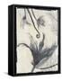 Silk Botanicals II-Liz Jardine-Framed Stretched Canvas