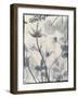 Silk Botanicals III-Liz Jardine-Framed Art Print