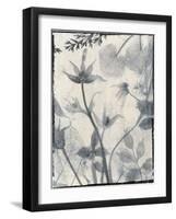 Silk Botanicals III-Liz Jardine-Framed Art Print