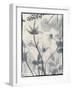 Silk Botanicals III-Liz Jardine-Framed Art Print