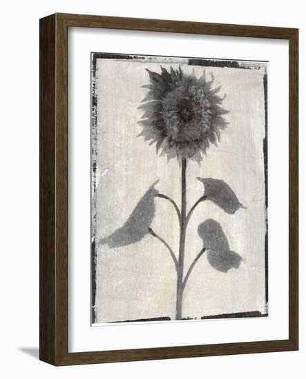 Silk Botanicals V-Liz Jardine-Framed Art Print