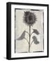 Silk Botanicals V-Liz Jardine-Framed Art Print