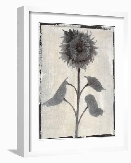 Silk Botanicals V-Liz Jardine-Framed Art Print