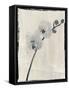 Silk Botanicals VI-Liz Jardine-Framed Stretched Canvas