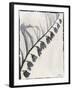 Silk Botanicals X-Liz Jardine-Framed Art Print