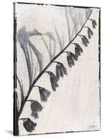 Silk Botanicals X-Liz Jardine-Stretched Canvas