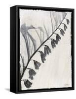 Silk Botanicals X-Liz Jardine-Framed Stretched Canvas