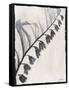 Silk Botanicals X-Liz Jardine-Framed Stretched Canvas