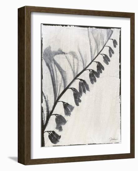 Silk Botanicals X-Liz Jardine-Framed Art Print