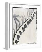 Silk Botanicals X-Liz Jardine-Framed Art Print