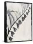 Silk Botanicals X-Liz Jardine-Framed Stretched Canvas
