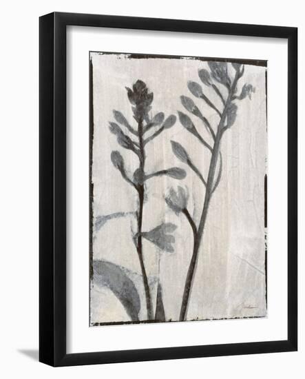 Silk Botanicals XI-Liz Jardine-Framed Art Print