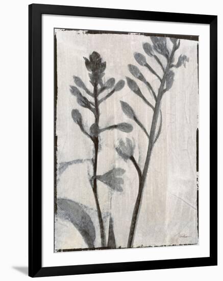 Silk Botanicals XI-Liz Jardine-Framed Art Print