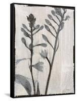 Silk Botanicals XI-Liz Jardine-Framed Stretched Canvas