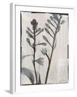 Silk Botanicals XI-Liz Jardine-Framed Art Print