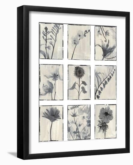 Silk Botanicals-Liz Jardine-Framed Art Print