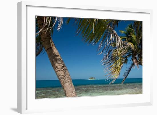 Silk Caye Island with Palm Trees, Caribbean Sea, Stann Creek District, Belize-null-Framed Photographic Print