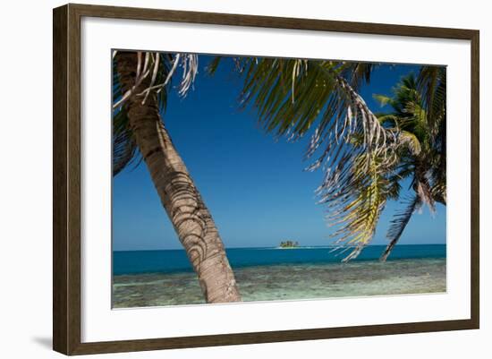 Silk Caye Island with Palm Trees, Caribbean Sea, Stann Creek District, Belize-null-Framed Photographic Print