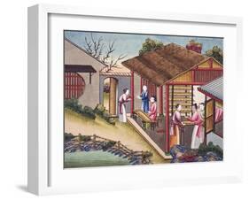Silk Cocoons, from "The Process of Manufacturing Silk in 24 Stages"-null-Framed Giclee Print